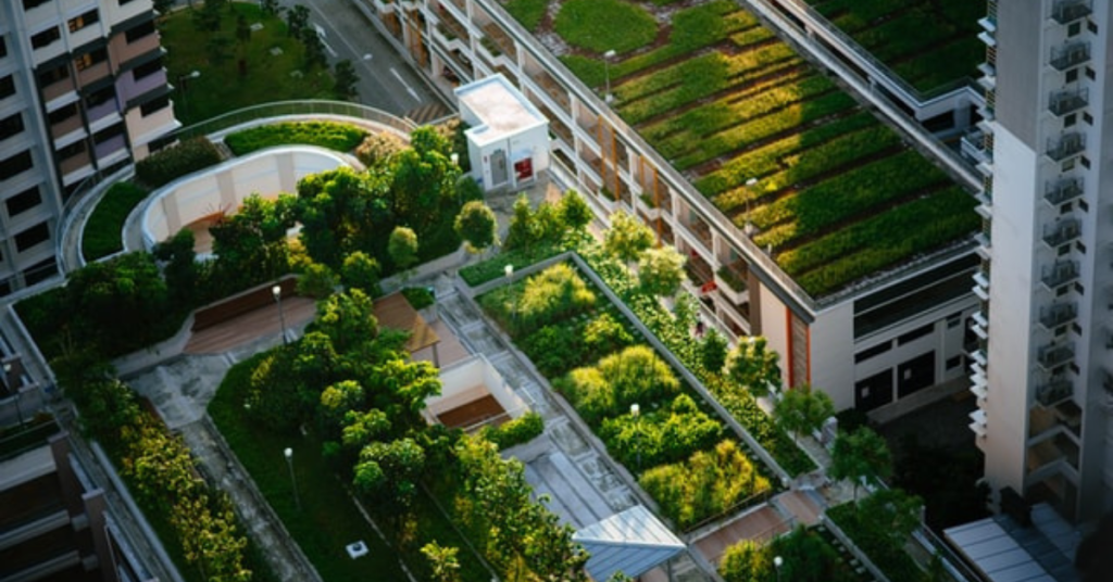 The Importance of Green Infrastructure in Urban Planning